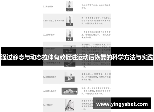 通过静态与动态拉伸有效促进运动后恢复的科学方法与实践