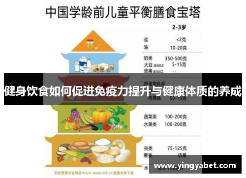 健身饮食如何促进免疫力提升与健康体质的养成